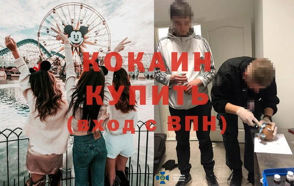 индика Алзамай
