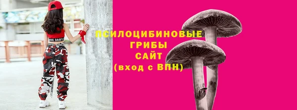 СК Абаза