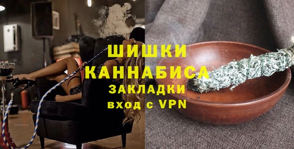 индика Алзамай