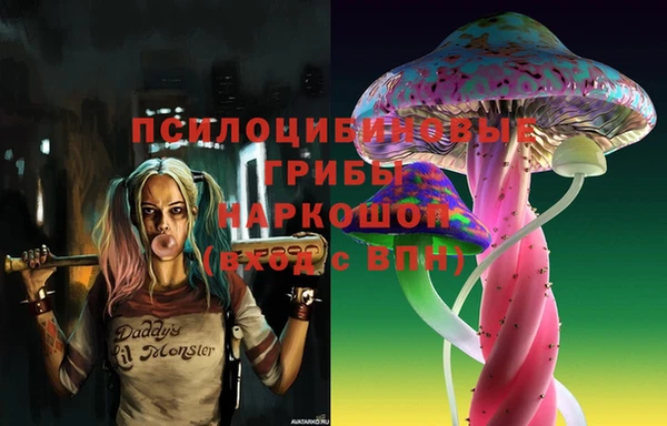 a pvp Алексеевка