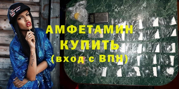 индика Алзамай