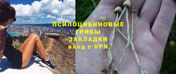 каннабис Алексин