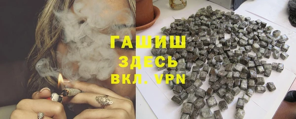 индика Алзамай