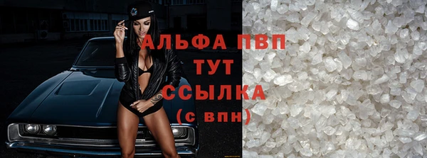 сатива Няндома