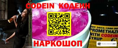 индика Камышлов