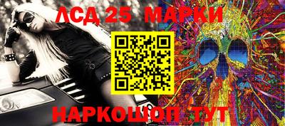 индика Камышлов