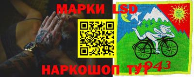 индика Камышлов