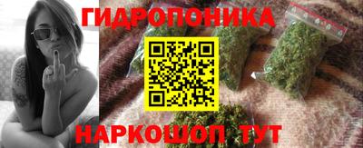 индика Камышлов