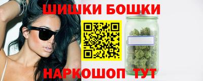 индика Камышлов