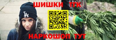 индика Камышлов
