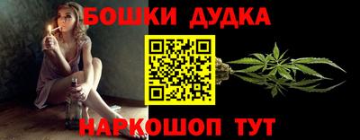 индика Камышлов