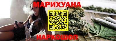 индика Камышлов