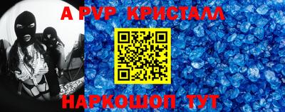 индика Камышлов