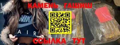 индика Камышлов