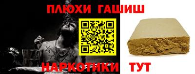 индика Камышлов